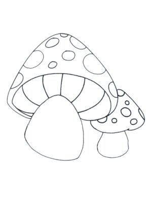 How to Draw a Mushroom Step by Step