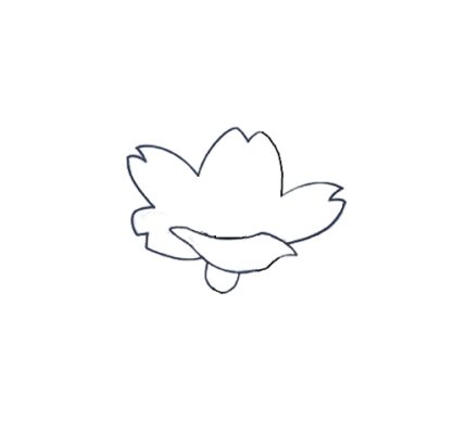 How to Draw an Apricot Flower