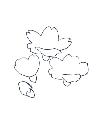 How to Draw an Apricot Flower