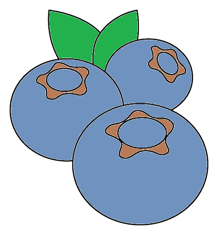 How To Draw A Blueberry