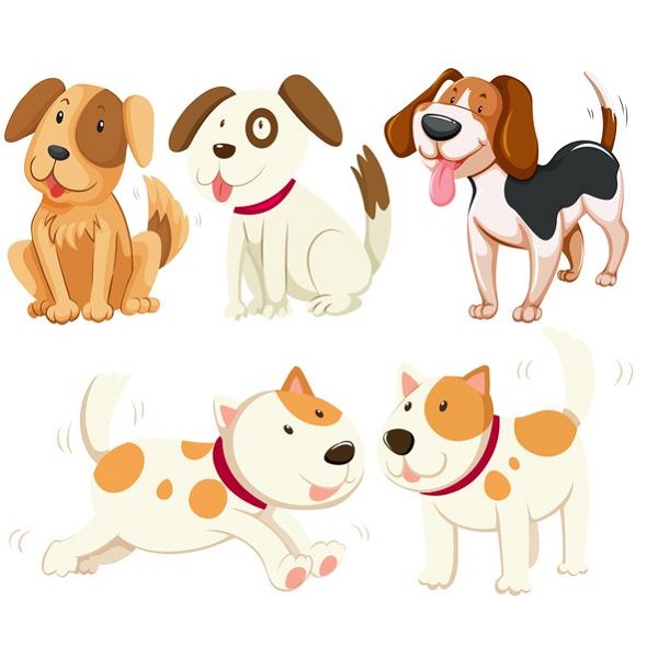 Cute Pets Images